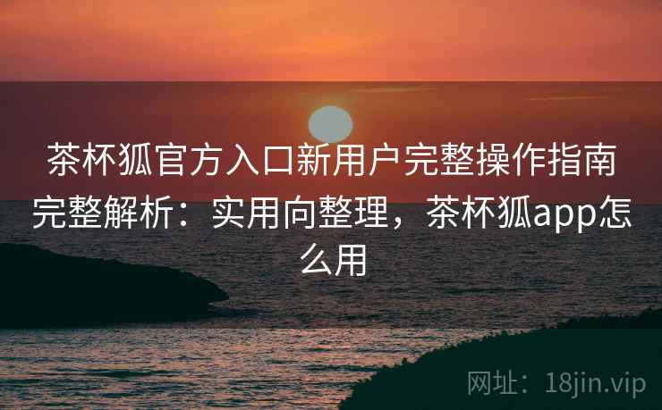 茶杯狐官方入口新用户完整操作指南完整解析：实用向整理，茶杯狐app怎么用