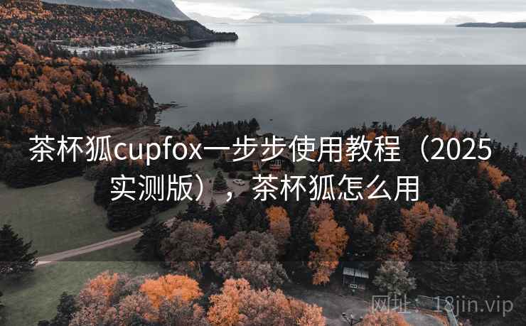 茶杯狐cupfox一步步使用教程（2025 实测版），茶杯狐怎么用