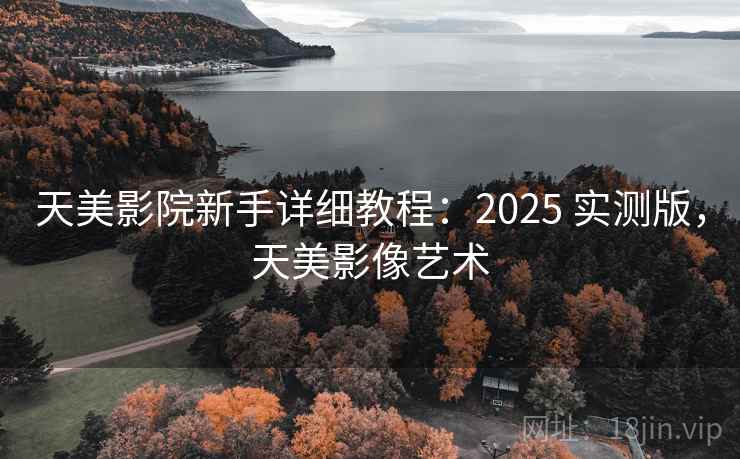天美影院新手详细教程：2025 实测版，天美影像艺术
